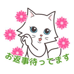 cute cat small snow(daily conversation)