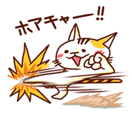 the pad of cat @ Kung Fu sticker #3623546