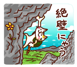 the pad of cat @ Kung Fu sticker #3623570