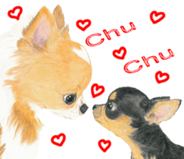 Yamato-kun of Maro eyebrow Chihuahua(En) sticker #3625045