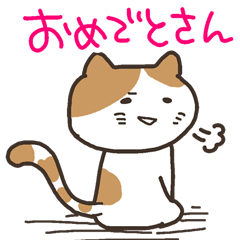 annoying japanese cat