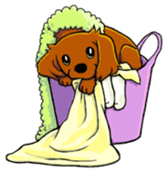 Cavalier sticker #3626416