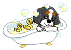 Cavalier sticker #3626417