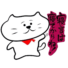 The cat which did a bandana 2