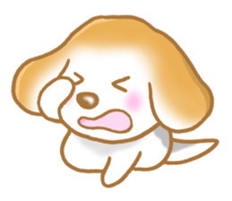 Sticker of the Beagle! Dog's Sticker sticker #3632216