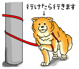Faithful dog sticker #3636301