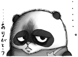 Crazy Panda sticker #3636424