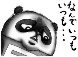 Crazy Panda sticker #3636440