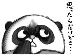 Crazy Panda sticker #3636441