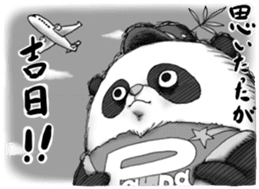 Crazy Panda sticker #3636445