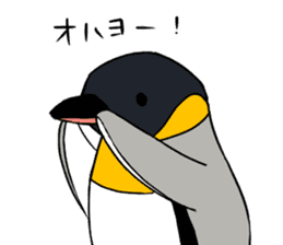 kingpenguin sticker #3637720