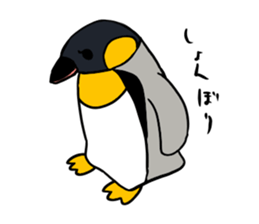 kingpenguin sticker #3637736