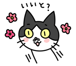 Hakata dialect Cat "CHOBI" sticker #3641124