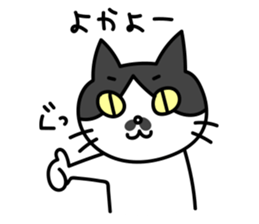 Hakata dialect Cat "CHOBI" sticker #3641125