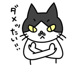 Hakata dialect Cat "CHOBI" sticker #3641126