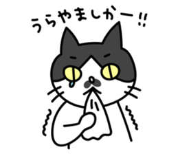 Hakata dialect Cat "CHOBI" sticker #3641138