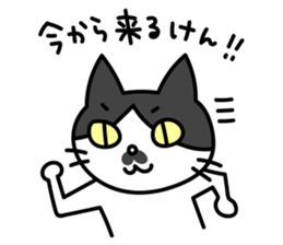 Hakata dialect Cat "CHOBI" sticker #3641141