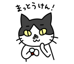 Hakata dialect Cat "CHOBI" sticker #3641142