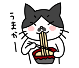 Hakata dialect Cat "CHOBI" sticker #3641147