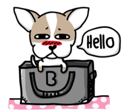 BIRKIN the Chihuahua sticker #3642023