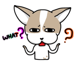 BIRKIN the Chihuahua sticker #3642025