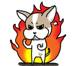 BIRKIN the Chihuahua sticker #3642031