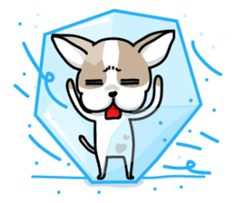 BIRKIN the Chihuahua sticker #3642032