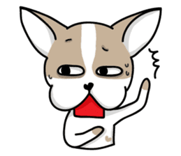 BIRKIN the Chihuahua sticker #3642036