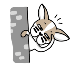 BIRKIN the Chihuahua sticker #3642037