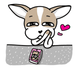 BIRKIN the Chihuahua sticker #3642041