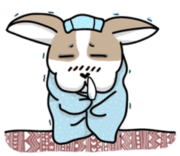 BIRKIN the Chihuahua sticker #3642048