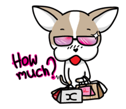 BIRKIN the Chihuahua sticker #3642049