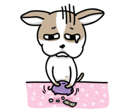 BIRKIN the Chihuahua sticker #3642050