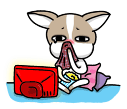 BIRKIN the Chihuahua sticker #3642051