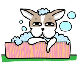 BIRKIN the Chihuahua sticker #3642057