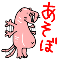 Naked mole rat sticker #3642143