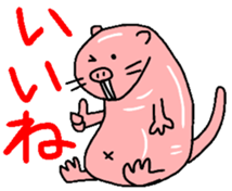 Naked mole rat sticker #3642147