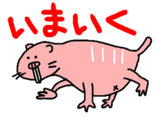 Naked mole rat sticker #3642148