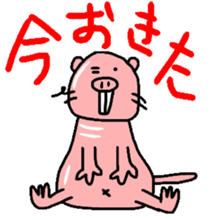 Naked mole rat sticker #3642149