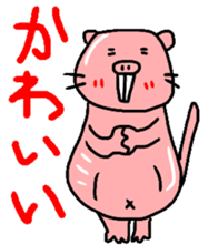 Naked mole rat sticker #3642159