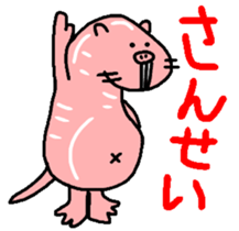 Naked mole rat sticker #3642163