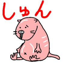Naked mole rat sticker #3642164