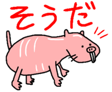 Naked mole rat sticker #3642166