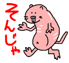 Naked mole rat sticker #3642167