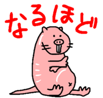 Naked mole rat sticker #3642170