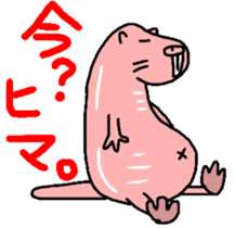 Naked mole rat sticker #3642173