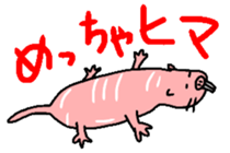 Naked mole rat sticker #3642174