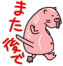 Naked mole rat sticker #3642177