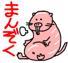 Naked mole rat sticker #3642178