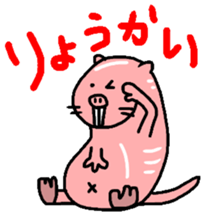 Naked mole rat sticker #3642182